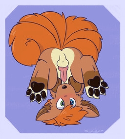 animal_genitalia animal_penis anus blush canine_genitalia canine_penis feral genitals heterochromia knot knotted_penis lying male on_back penis solo vixeyhuskybutt nintendo pokemon canid canine fox generation_1_pokemon mammal pokemon_(species) vulpix hi_res