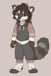 anthro clothing fluffy fluffy_tail footwear front_view fur hair hoodie male multicolored_body multicolored_fur shirt smile socks solo tail teeth topwear young young_anthro young_male makioraku mammal procyonid raccoon absurd_res digital_media_(artwork) full-length_portrait hi_res portrait