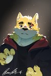 anthro black_clothing black_jacket black_topwear broken_ear canid canine canis clothing cooper_krager dust eye_scar facial_scar fur hi_res jacket light light_beam male mammal ponshanchamu remember_the_flowers scar signature solo topwear wolf yellow_body yellow_fur