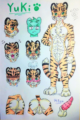 abs adolescent angry animal_genitalia animal_penis anthro anus balls butt erection feline_genitalia fur genitals green_eyes laugh looking_at_viewer male muscular muscular_anthro muscular_male muscular_young nude nude_anthro nude_male orange_body orange_fur penile_spines penis sheath shy simple_background smile solo standing striped_body stripes tail text young young_anthro young_male kitzuneharu yuki_takemori felid feline mammal pantherine tiger graphite_(artwork) hi_res model_sheet traditional_media_(artwork)
