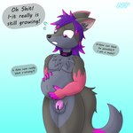 anthro balls chastity_cage chastity_device chest_tuft claws clenched_teeth collar dialogue ear_tuft ears_down finger_claws fur genitals gradient_background grey_body grey_fur hair highlights_(coloring) holding_belly looking_down male multicolored_body multicolored_fur nervous nude phallic_chastity_device pink_eyes pink_highlights pivoted_ears pregnant pregnant_anthro pregnant_male purple_hair simple_background solo speech_bubble standing tail teeth text tuft ninjatreecko ashe_infinity canid canine fox mammal 1:1 english_text hi_res