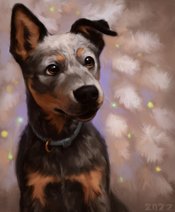 abstract_background black_body black_fur black_nose brown_body brown_eyes brown_fur collar feral fur grey_body grey_fur multicolored_body multicolored_fur one_ear_up quadruped solo alexpahomov australian_cattle_dog canid canine canis cattledog domestic_dog herding_dog mammal pastoral_dog 2022 digital_media_(artwork) digital_painting_(artwork) hi_res painting_(artwork)