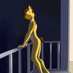 against_railing against_surface anthro balcony leaning leaning_forward looking_at_viewer male night nude railing solo fuze fuzeyeen hyena mammal spotted_hyena 1:1 hi_res