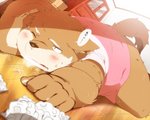 anthro blush bodily_fluids brown_body brown_fur detailed_background fur inside kemono lying male overweight overweight_anthro overweight_male solo sweat text hinami canid canine canis domestic_dog mammal 2013 5:4 japanese_text