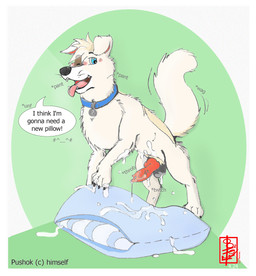 animal_genitalia animal_penis anthro balls border canine_genitalia canine_penis ejaculation erection feral genitals grinding knot knotted_penis male masturbation penile penile_masturbation penis pillow pillow_humping solo text white_border fennec_(artist) space_dogs pushok canid canine canis domestic_dog hybrid mammal english_text