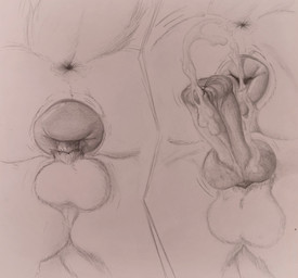 animal_genitalia animal_penis animal_vulva anus balls bodily_fluids butt canine_genitalia canine_penis canine_vulva close-up cum cum_drip cum_in_vagina cum_inside cumshot dripping duo ejaculation erection faceless_character faceless_female faceless_feral faceless_male female female_penetrated feral feral_on_feral furry_balls genital_fluids genital_focus genitals knot knotted_penis looking_at_another low-angle_view male male/female male_penetrating male_penetrating_female penetration penis sex simple_background tail_anus vulva loobylewds canid mammal absurd_res hi_res sketch traditional_media_(artwork)