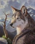 ambiguous_gender anthro black_nose braided_hair cloud ear_piercing hair inner_ear_fluff mountain outside overcast piercing plant rock scar shrub sky snow solo tree tuft yellow_eyes myenia canid canine canis mammal wolf 2018 4:5 bust_portrait portrait