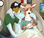 anthro baby bedding blanket clothing detailed_background female fur group hair hospital hospital_gown husband_and_wife male married_couple mask medical_instrument scientific_instrument surgical_mask young young_anthro lobadelaluna alyssa_kintana elyssa_llewellyn rorick_kintana canid canine canis collie domestic_dog herding_dog mammal mixed_breed pastoral_dog pembroke_welsh_corgi rough_collie sheepdog welsh_corgi absurd_res digital_media_(artwork) hi_res daughter_(lore) father_(lore) father_and_child_(lore) father_and_daughter_(lore) mother_(lore) mother_and_child_(lore) mother_and_daughter_(lore) parent_(lore) parent_and_child_(lore) parent_and_daughter_(lore)