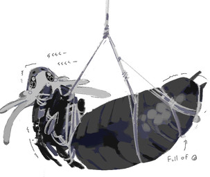 arms_tied arthropod_abdomen arthropod_webbing bdsm bodily_fluids bound crying egg legs_tied male oviposition shaking solo tears web_bondage sunnydayaoe hollow_knight:_silksong hollow_knight_(franchise) team_cherry styx_(hollow_knight:_silksong) arthropod insect