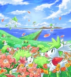 ambiguous_gender back_plant back_shrub cloud detailed_background feral flower flower_(anatomy) gracidea_flower group head_flower perspective plant sea sky water denchi_nezumi nintendo pokemon elemental_creature flora_fauna generation_4_pokemon land_forme_shaymin legendary_pokemon pokemon_(species) shaymin sky_forme_shaymin