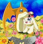 ambiguous_gender black_feet blue_eyes blush crest_of_hope crest_of_light digimon_crest duo feet feral floppy_ears flower flower_on_head grass one_eye_closed orange_body orange_flower pink_cheeks pink_flower plant ring rock smile symbol tongue wings yellow_flower unknown_artist bandai_namco digimon canid canine digimon_(species) mammal patamon salamon