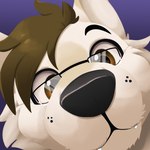 1:1 anthro black_eyebrows black_nose boop brown_eyes brown_hair canid canine canis eyebrows eyewear face_focus feve fluffy fur glasses hair headshot_portrait icon looking_at_viewer male mammal nose_boop portrait sabbyth scruffy sniffing solo white_body white_fur wolf