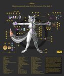 anthro breasts description diagram female looking_at_viewer machine mechanical_limbs nanotechnology nipples solo study text 10ne-v alexa_(10ne-v) android canid canine fox living_machine mammal robot absurd_res english_text hi_res