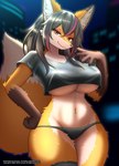 anthro big_breasts breasts clothed clothing female female_anthro fingers fur hair kemono looking_at_viewer navel panties smile solo tail under_boob underwear white_body faroula canid canine fox mammal hi_res