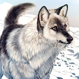 E621 profile picture for @Rapture