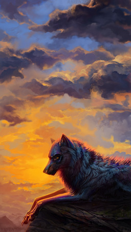 ambiguous_gender cloud day detailed_background feral lying on_front outside sky solo sunset alaiaorax canid canine canis mammal wolf 2017 absurd_res digital_media_(artwork) hi_res