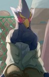 anthro beak blue_body blue_feathers blush clothing eyebrows feathers green_eyes hair long_hair male solo thick_eyebrows undressing chikichikitaron breath_of_the_wild nintendo the_legend_of_zelda revali avian rito hi_res