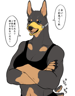 anthro bra breasts clothed clothing female kemono muzzle_(object) muzzled solo sports_bra tail tail_motion tailwag text underwear nekomata_ftnr canid canine canis dobermann domestic_dog mammal pinscher hi_res translation_request