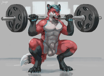 4_toes 5_fingers abs animal_genitalia anthro athletic athletic_anthro athletic_male balls barbell barbell_squats blue_hair blue_pawpads casual_nudity claws countershading crouching digitigrade exercise fangs feet finger_claws fingers fully_sheathed fur genitals gloves_(marking) hair hindpaw humanoid_hands leg_markings male markings mohawk multicolored_body multicolored_fur muscular muscular_anthro muscular_male navel nude nude_workout open_mouth pawpads paws pink_hair red_body red_fur sheath socks_(marking) solo squats teeth toe_claws toes tongue two_tone_body two_tone_fur weightlifting weights white_body white_fur workout juiceps canid canine fox mammal 2021 digital_media_(artwork) signature