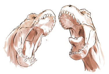 ambiguous_gender bodily_fluids dripping saliva saliva_drip sharp_teeth simple_background solo teeth tongue unsigned wide_eyed swampjaws king_kong_(2005) dinosaur prehistoric_species reptile saurischian scalie theropod vastatosaurus_rex headshot_portrait monochrome multiple_images portrait