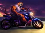 abs anthro biceps big_muscles biped black_body black_fur black_stripes black_tail bottomwear clothed clothing cloud detailed_background driving footwear fully_clothed fur huge_muscles humanoid_hands looking_at_viewer male manly markings motorcycle multicolored_body multicolored_fur multicolored_tail muscular muscular_anthro muscular_male night orange_body orange_fur orange_tail outside overcast pecs pink_nose red_clothing red_footwear red_shoes shirt shoes shorts side_view sky sneakers solo striped_body striped_fur striped_markings striped_tail stripes sunset t-shirt tail tail_markings topwear triceps vehicle whiskers white_body white_clothing white_fur white_shirt white_tail white_topwear echin mike_the_tiger felid mammal pantherine tiger 2017 detailed digital_media_(artwork) full-length_portrait portrait