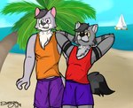 anthro beach duo foxstep grey_body holidays male male/male romantic romantic_couple smile yeik_ancient darkyapper canid canine canis fox mammal true_fox wolf absurd_res digital_media_(artwork) hi_res