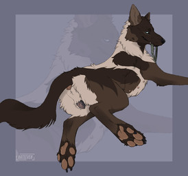 animal_genitalia animal_vulva anus bedroom_eyes brown_body brown_fur canine_genitalia canine_vulva female feral fur genitals narrowed_eyes presenting presenting_vulva seductive solo vulva hateeven canid canine canis domestic_dog german_shepherd herding_dog mammal pastoral_dog 2024