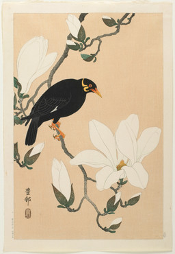 ambiguous_feral ambiguous_gender avian_feet beak biped bipedal_feral black_body black_feathers branch cjk_character facial_markings feathered_wings feathers feral flower head_markings leaf markings on_branch plant red_sclera scuted_feet scuted_legs scutes side_view simple_background solo standing tail tail_feathers text wings ohara_koson public_domain avian bird myna_(bird) 20th_century absurd_res ancient_art hi_res japanese_text traditional_media_(artwork)