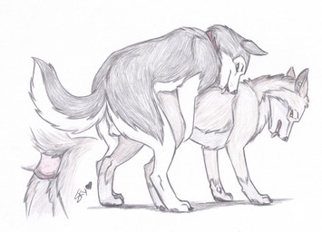 all_fours anal anal_penetration balls blue_eyes collar digitigrade doggystyle duo erection feral feral_on_feral from_behind_position genitals knot male male/male male_penetrated male_penetrating male_penetrating_male mounting penetration penis quadruped red_eyes rounded_back sex yellow_sclera skyfifer balto_(series) universal_studios balto steele_(balto) alaskan_malamute canid canine canis domestic_dog hybrid mammal nordic_sled_dog spitz wolf wolfdog absurd_res hi_res