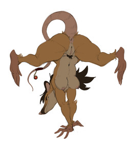 5_toes anthro anus blush breasts butt eyes_closed feet female fur genitals hair hands_on_ground handstand hanging_breasts head_down_ass_up nipples nude on_hands presenting presenting_hindquarters presenting_vulva raised_tail simple_background smile soles solo spread_legs spreading tail toes upside_down vulva white_background guoh armello league_of_geeks zosha_(armello) mammal murid murine rat rodent digital_drawing_(artwork) digital_media_(artwork) sketch