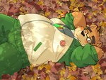 anthro belly big_belly blush bottomwear brown_body clothing kemono leaf lying male one_eye_closed overweight overweight_male pants shirt solo topwear wink yaki_atsuage lifewonders tokyo_afterschool_summoners volos_(tas) bear mammal 2024 hi_res