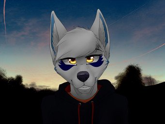anthro clothed clothing cloud female footwear fur hoodie legwear looking_at_viewer outside plant socks solo sunset topwear tree white_body white_fur yellow_eyes an_ancient aira canid canine canis domestic_dog husky mammal nordic_sled_dog spitz wolf 2017 4:3 headshot_portrait portrait