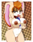 anthro areola big_breasts border breasts brown_areola brown_nipples eyelashes female genitals hair icing_bag long_ears looking_at_viewer nipples pattern_background pussy simple_background solo white_border mrdeepay sega sonic_the_hedgehog_(series) vanilla_the_rabbit lagomorph leporid mammal rabbit 2021 hi_res