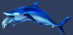 blue_body duo feral feral_pred feral_prey gills grey_background grey_body in_mouth oral_vore simple_background vore dolphinproject blue_shark cetacean common_dolphin dolphin fish mammal marine oceanic_dolphin requiem_shark shark toothed_whale 2021