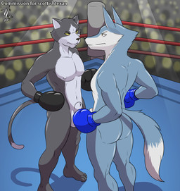 animal_genitalia anthro athletic athletic_anthro athletic_male balls boxing_gloves boxing_gloves_only butt casual_nudity clothing crossgender duo eye_contact feet fighting_ring ftm_crossgender fully_sheathed fur genitals handwear handwear_only looking_at_another male mostly_nude nipples nude sheath standing tail toes yellow_eyes denlusty illumination_entertainment sing_(movie) porsha_crystal canid canine canis domestic_cat felid feline felis mammal wolf digital_media_(artwork) hi_res