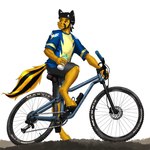 anthro bicycle bicycle_helmet bottle bottomwear clothing container cycling eyebrows fur furgonomics hair hooves male mountain_bike multicolored_hair purple_eyes shirt short_hair shorts solo topwear two_tone_hair vehicle water_bottle yellow_body yellow_fur mykegreywolf hasbro my_little_pony fan_character equid equine horse mammal pony 1:1 2021 absurd_res hi_res