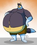 anthro barefoot belly big_belly bottomwear clothed clothing dress_shirt ears_up fangs feet fur hair hand_on_belly looking_aside male morbidly_obese morbidly_obese_anthro morbidly_obese_male navel obese obese_anthro obese_male open_mouth overweight overweight_anthro overweight_male shirt shorts solo standing tail teeth tongue topwear th0mas bluey_(series) bandit_heeler australian_cattle_dog canid canine canis cattledog domestic_dog herding_dog mammal pastoral_dog 2025 hi_res signature