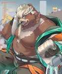 anthro armor belly big_belly blush brown_body can construction_site construction_worker container group hard_hat headgear helmet kemono male moobs nipples overweight overweight_male hechaxianzhi lifewonders live_a_hero goro_(live_a_hero) bear mammal 2024 absurd_res hi_res