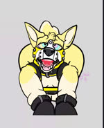 andromorph animal_mask anthro ball_gag bdsm bodily_fluids bondage bound collar drooling gag harness humping hypnosis hypnotic_eyes intersex mask mind_control mitts pelvic_thrust petplay pup_mask roleplay saliva solo tail tail_motion tailwag tongue tongue_out pup_stachi pistachio_corgi canid canine canis domestic_dog herding_dog mammal pastoral_dog welsh_corgi 2d_animation animated hi_res motion_tweening no_sound short_playtime webm