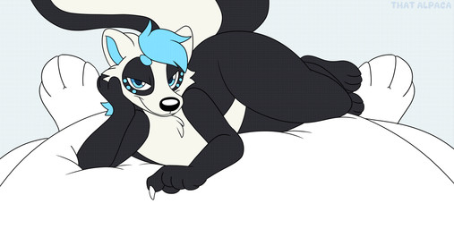 anthro blinking_at_viewer blue_hair close_to_bursting grin hair implied_popping inflation looking_at_viewer offscreen_character smile text tube_bulge that_alpaca skonky mammal mephitid skunk 2026 animated artist_name hi_res loop seamless_loop widescreen