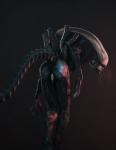 anus bodily_fluids butt female genitals pussy saliva solo teeth nhornissa alien_(franchise) alien xenomorph 3d_(artwork) digital_media_(artwork) hi_res source_filmmaker_(artwork)