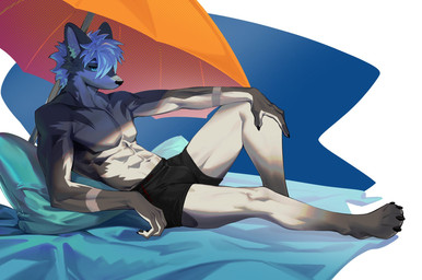 abs anthro athletic athletic_anthro athletic_male beach black_nose blue_eyes bulge claws clothed clothing finger_claws fur grey_body grey_fur kemono looking_at_viewer male pointy_ears solo swimming_trunks swimwear topless topless_anthro topless_male umbrella siranuikawu canid canine canis mammal wolf 2024 hi_res