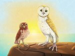 ambiguous_gender beak brown_body brown_feathers claws detailed_background duo feathered_wings feathers feral outside pink_beak sea size_difference sky standing sun tan_body tan_feathers water white_body white_claws white_feathers wings yellow_beak yellow_eyes sidgi guardians_of_ga'hoole gylfie soren_(gogh) avian barn_owl bird elf_owl owl true_owl tyto tytonid western_barn_owl 2010 digital_media_(artwork) shaded