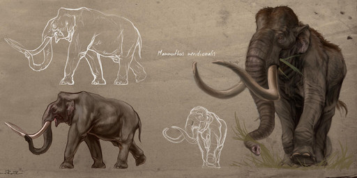 brown_body brown_fur feral fur grass grey_body grey_skin partially_hairless plant proboscis_(anatomy) quadruped trunk_(anatomy) tusks walking grazianoroccatani southern_mammoth 2020 digital_drawing_(artwork) digital_media_(artwork) digital_painting_(artwork) painting_(artwork)