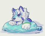 anthro blue_eyes chibi floatie fur inflatable male multicolored_body multicolored_fur neck_tuft pouting solo tuft igarashi_ta lifewonders live_a_hero sadayoshi canid canine mammal