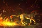 feral fire fur light pawpads running smile solo fuzzymaro felid lion mammal pantherine