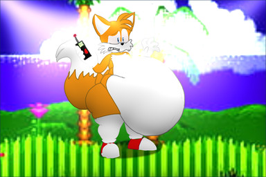 accidental_vore anthro blue_eyes clothing digestion digestion_implied emerald_hill_zone field footwear fur gloves handwear looking_at_belly male male_pred orange_body orange_fur red_clothing red_footwear red_shoes red_sneakers shoes sneakers solo standing vore weight_gain white_clothing white_gloves white_handwear supersonicvoreguy sega sonic_the_hedgehog_(series) miles_prower canid canine fox mammal 2026 3:2 colored