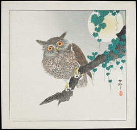 ambiguous_feral ambiguous_gender avian_feet beak biped bipedal_feral branch brown_body brown_feathers cjk_character feathered_wings feathers feet feral leaf moon on_branch orange_sclera simple_background solo standing tail tail_feathers talons toes wings ohara_koson public_domain avian bird owl 20th_century absurd_res ancient_art hi_res traditional_media_(artwork)