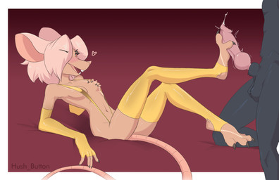 anthro arm_warmers armwear balls black_body black_fur breasts clothing duo feet female foot_fetish foot_play footjob fur genitals hair legwear male male/female one-piece_swimsuit penile penis pink_hair sex swimwear tan_body tan_fur thigh_highs toes hush_button canid canine mammal mouse murid murine rodent hi_res