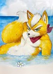 anthro beach fur green_eyes kerchief looking_at_viewer male navel neckerchief neckwear nude orange_body orange_fur partially_submerged solo water ulala_ko nintendo star_fox fox_mccloud canid canine fox mammal hi_res